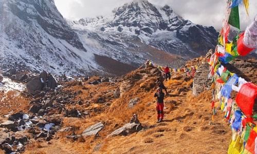 Environmental Factors and Travel