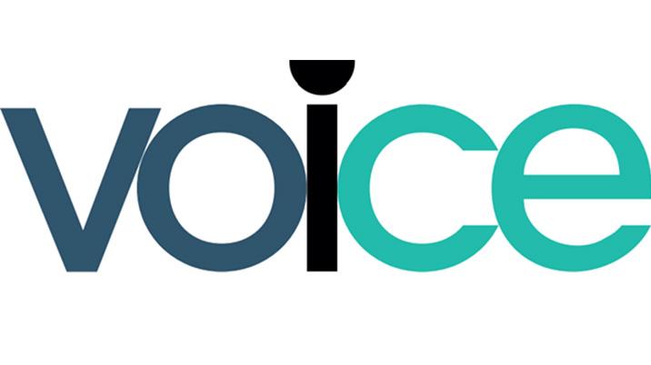 An image displaying the word VOICE