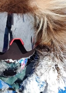 Emporiatrics - Summer 2024